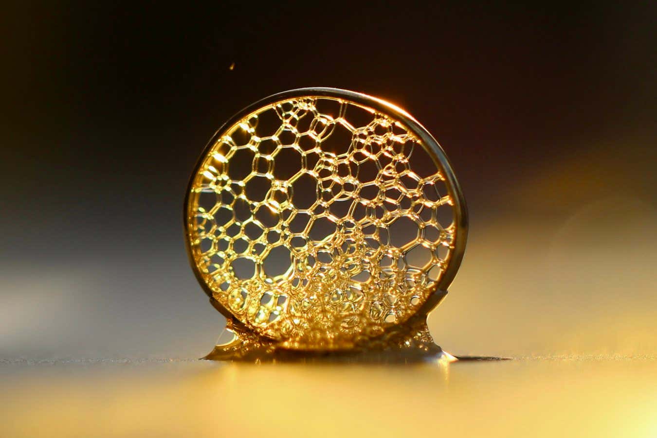 Winning Images from Imperial College London Showcase Scientific Beauty