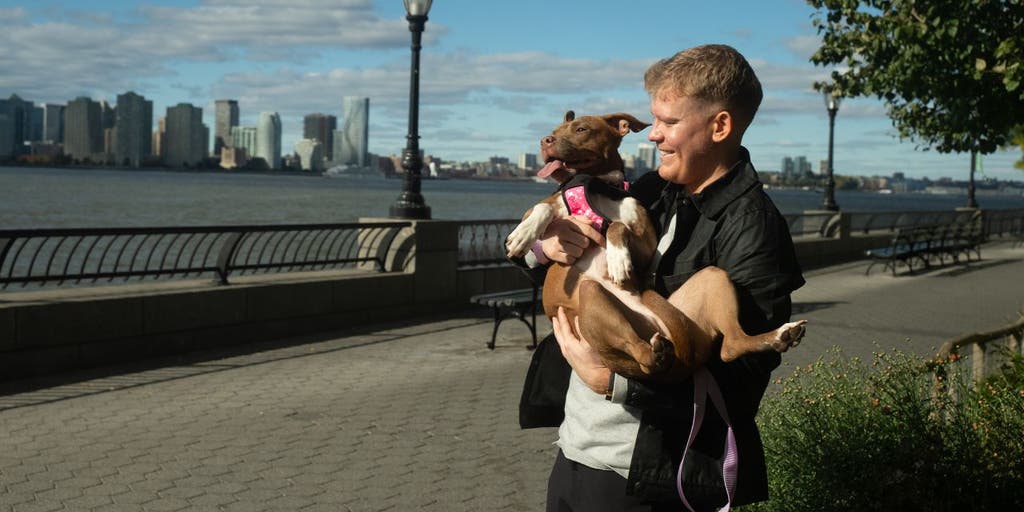 AI-Powered Platform Reunites Lost Dog with Owner Through Photo Recognition AI-Powered Platform Reunites Lost Dog with Owner Through Photo Recognition
