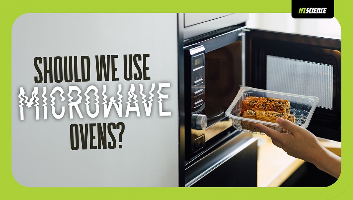 How Microwaves Actually Work: A Scientific Breakdown