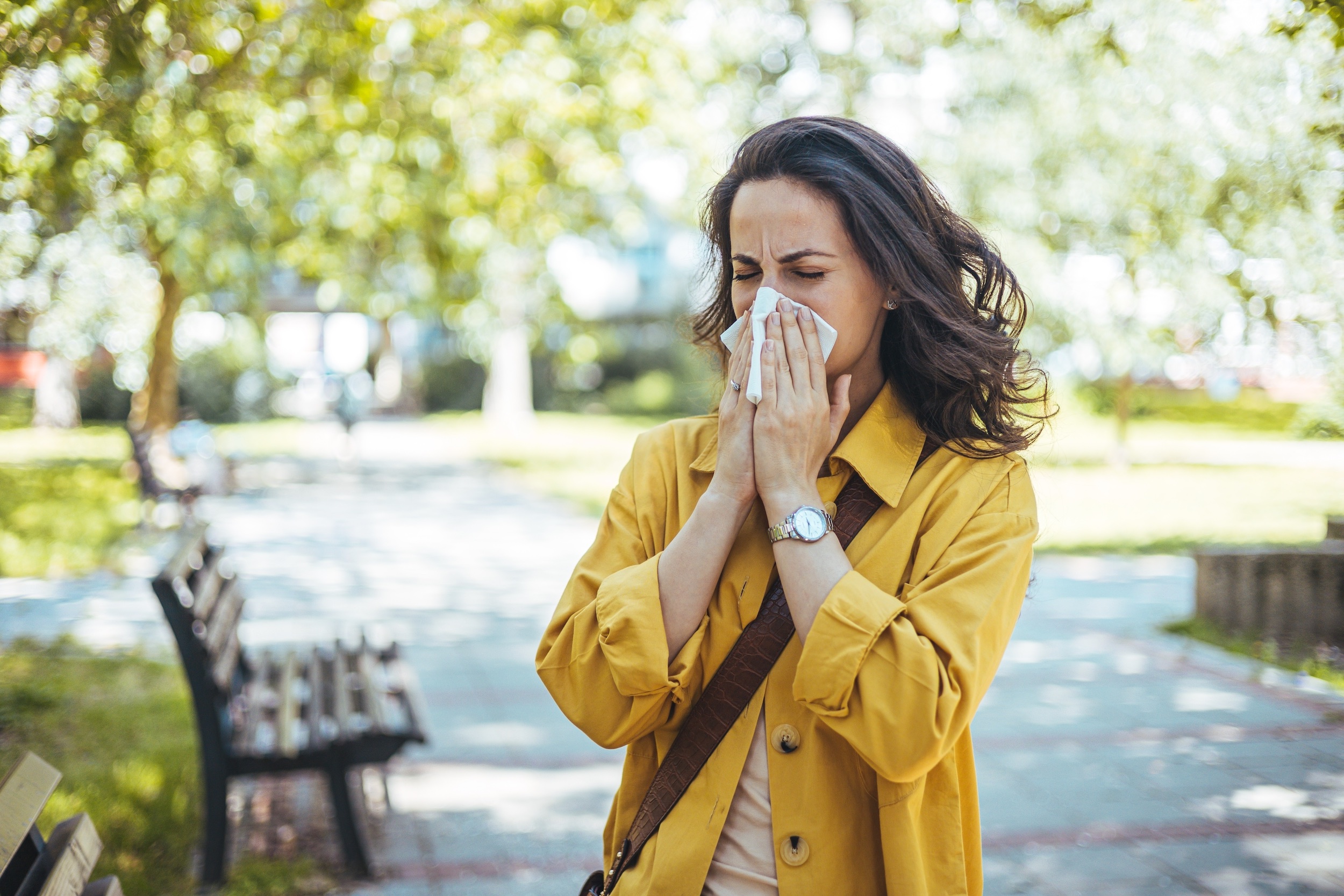 New AI System Enhances Pollen Identification, Boosting Allergy Forecasting