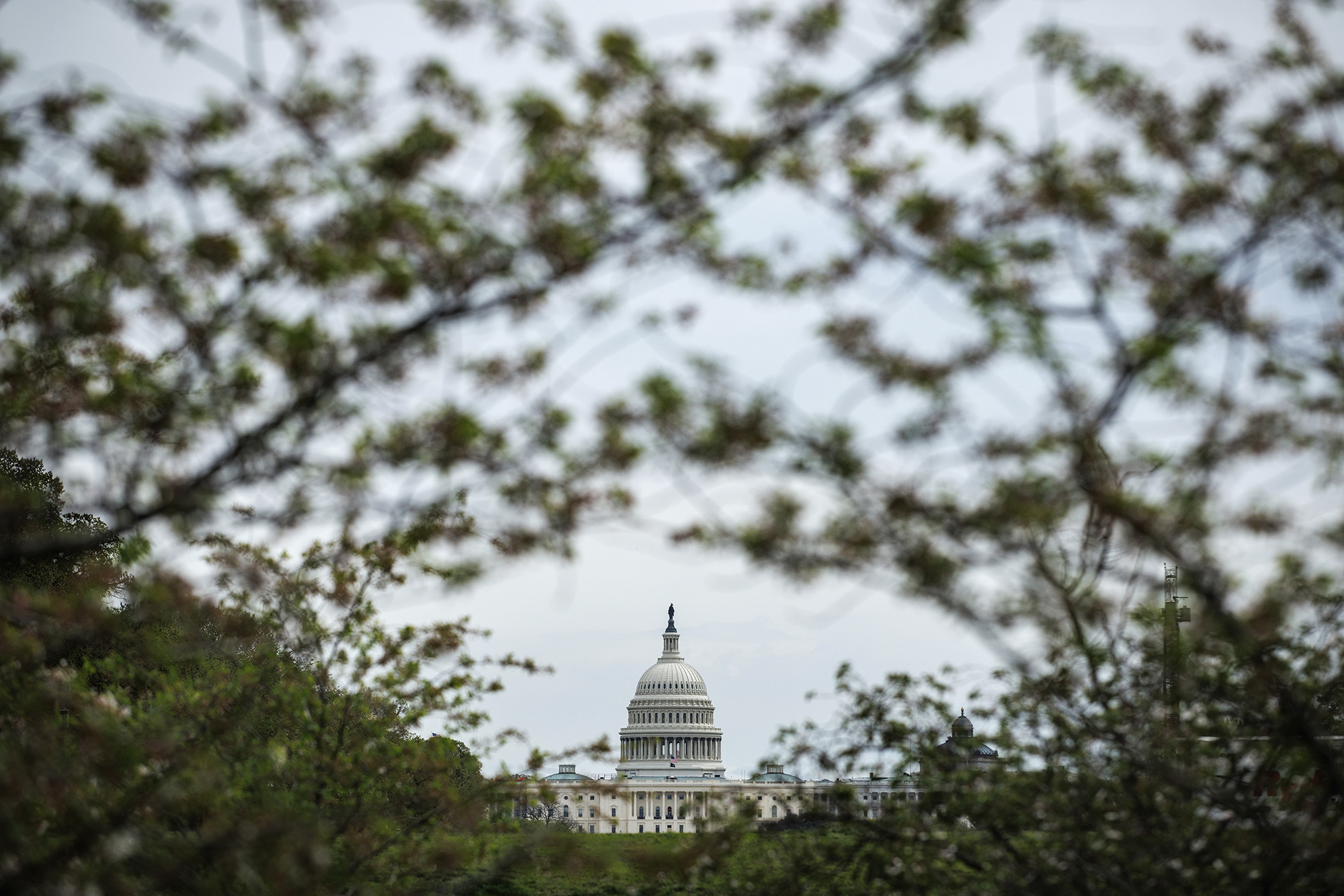Republicans Seek to Block State AI Laws, Threatening California’s Protections in Health Care and Employment