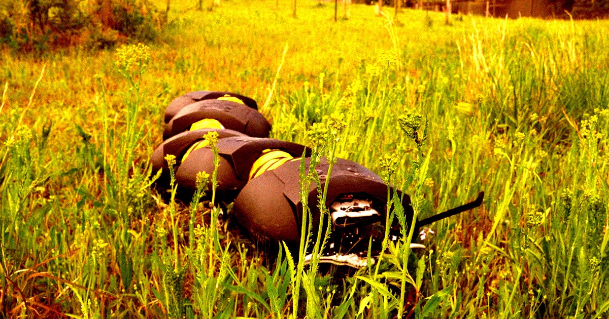 Startup Unveils Bio-Inspired Robotic Centipedes for Sustainable Weed Control Startup Unveils Bio-Inspired Robotic Centipedes for Sustainable Weed Control