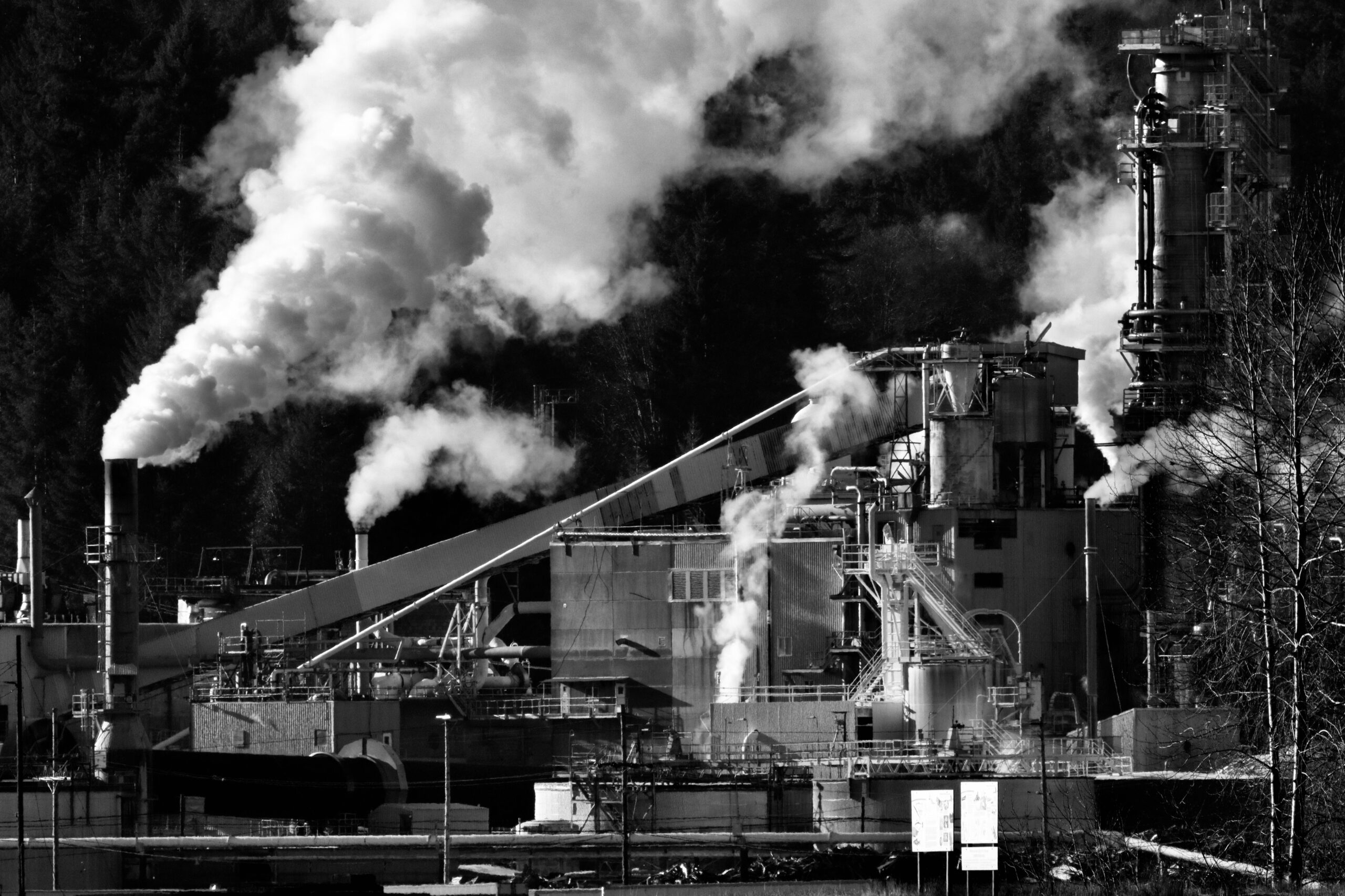 White House Earth Day Statement Criticized Amid Climate Concerns