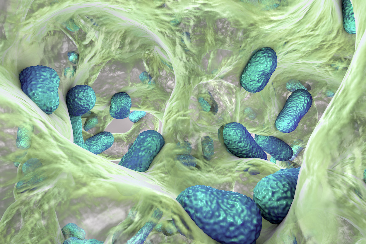 Artificial Intelligence Enhances Microbe-Based Biologic Drug Development