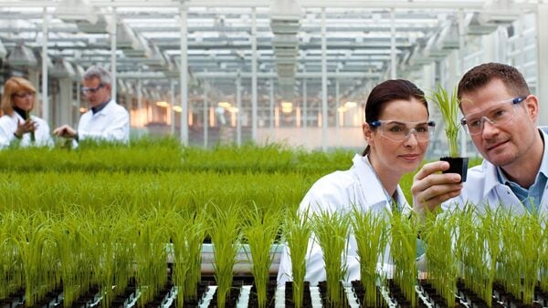 Bayer CropScience Shares Surge Over 12% Following Strong Q4 Results and Dividend Announcement