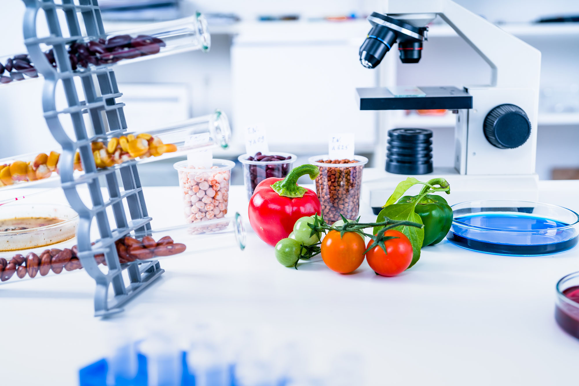 NIH Launches Initiative to Uncover Root Causes of Diet-Related Chronic Diseases