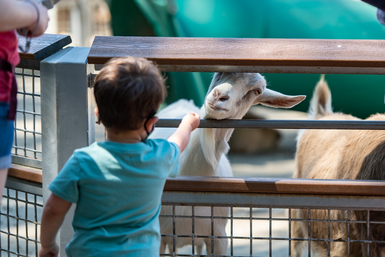 Monthly Wildlife Education Classes Offered for Homeschooled Children