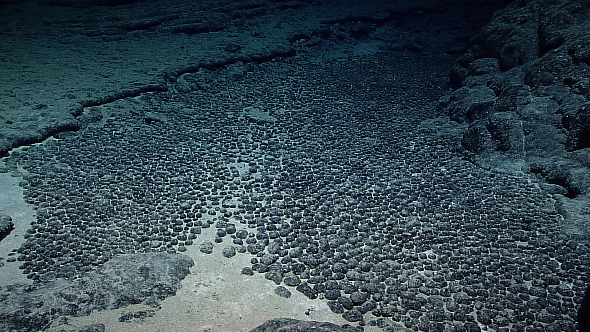 NASA Budget Cuts and Executive Order on Deep Sea Mining Spark Scientific Concerns