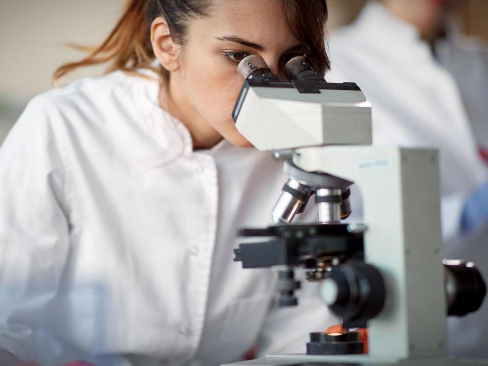 Gov. Josh Stein to Join Biopharma CEO for $750 Million Investment Announcement
