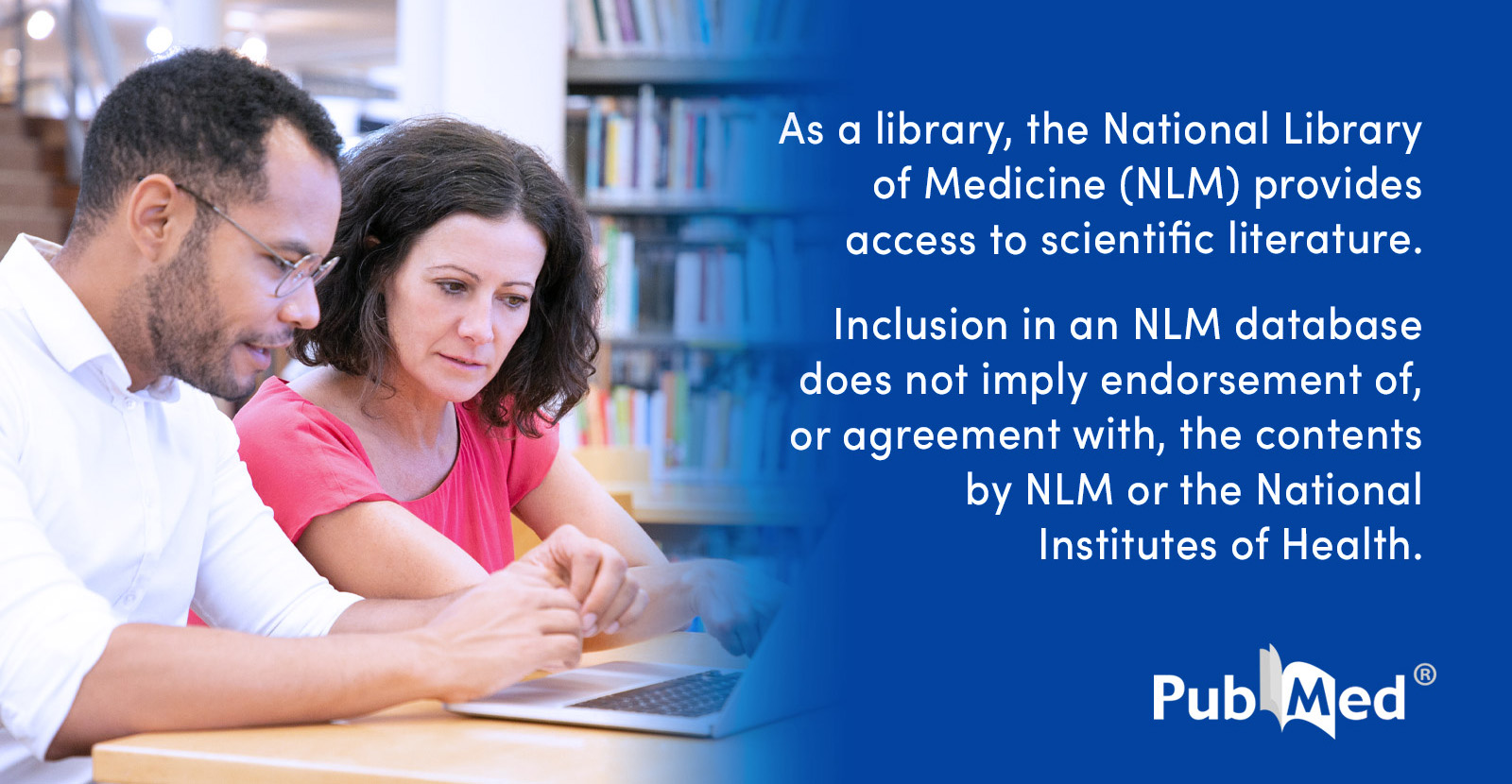 Efficacy and Safety of Low-Dose IL-2 as an Add-On Therapy to Riluzole in Treating Motor Neurone Disease