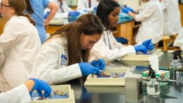 NSU Hosts Summer Medical Camps for Aspiring Healthcare Professionals