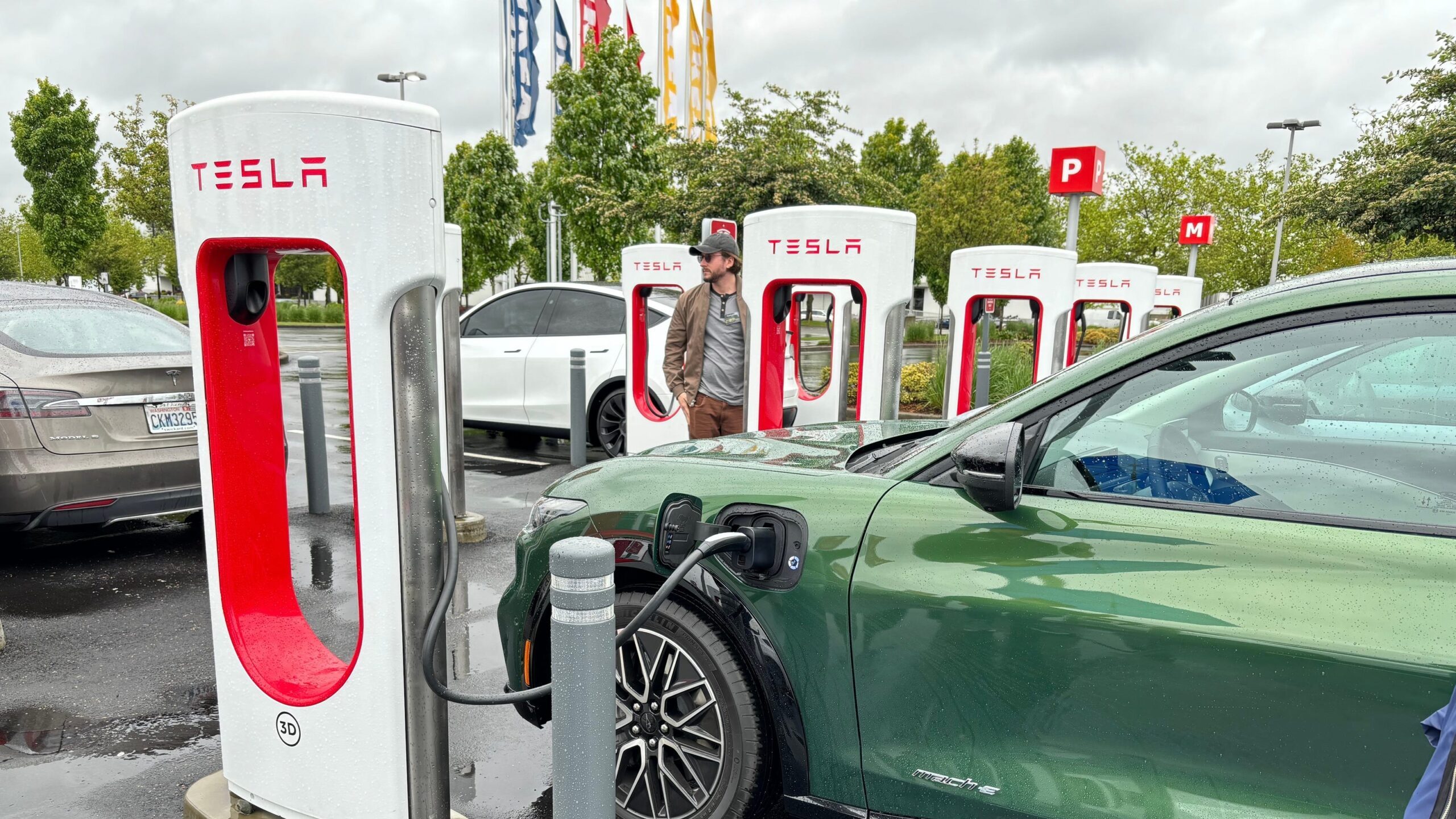 Electric Vehicle Rentals Highlight Need for Better Customer Guidance Electric Vehicle Rentals Highlight Need for Better Customer Guidance